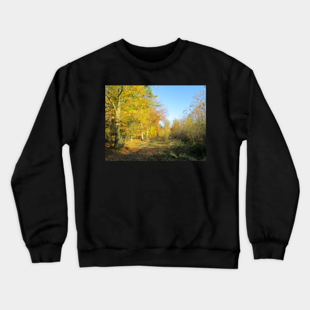 Vibrant Autumn Walk Crewneck Sweatshirt by Natural Distractions